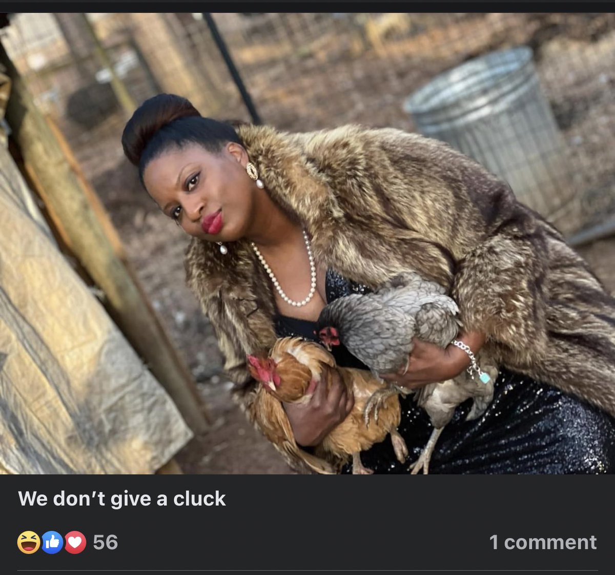 Aimn2pleasee's tweet image. Meanwhile, on the book of faces. The captions 🐔 🥚 😂😂😂 #EggShortage #iloveus