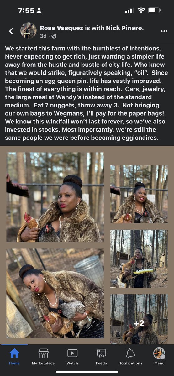 Aimn2pleasee's tweet image. Meanwhile, on the book of faces. The captions 🐔 🥚 😂😂😂 #EggShortage #iloveus