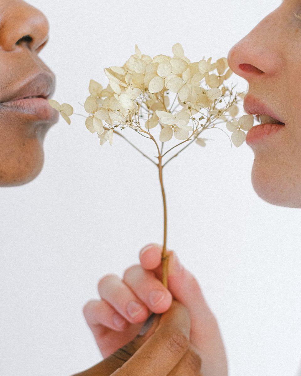 andreadySetGO's tweet image. Valentine's Day is a tricky holiday...
and what to do if you're pregnant, not drinking, get tired early, can't roller skate, cheap chocolate makes you sick (and good chocolate isn't even worth it cause you're watching your sugar intake), you're not eating sushi, you have heartbur