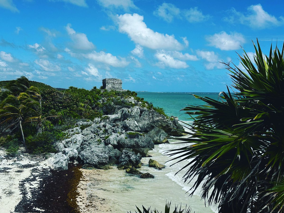 absolutneeon's tweet photo. • Vacay Mode • #honeymoon #tulum #mexico https://t.co/bOxpubxbQp