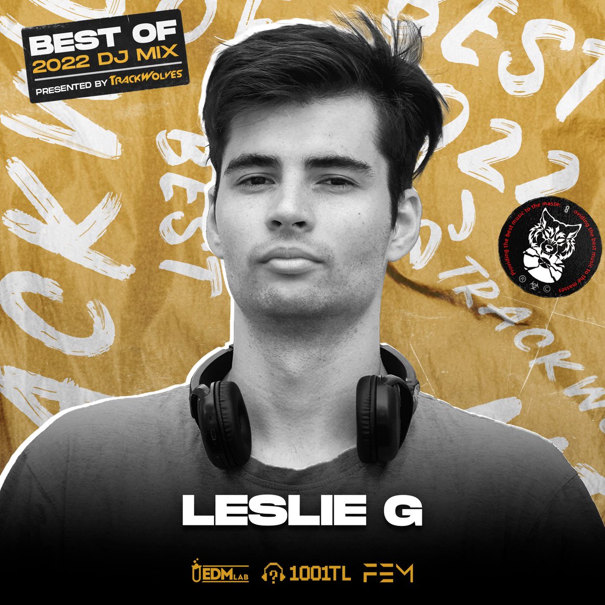 TrackWolvesXL's tweet image. NEW #YEARMIX, the Best #Hardstyle of 2022 by Owner &amp;amp; founder of @ghadesleslie @1001tracklists avid user and musician from Hungary. TODAY AT 19 CET TIME tw.podlink.to/djghades