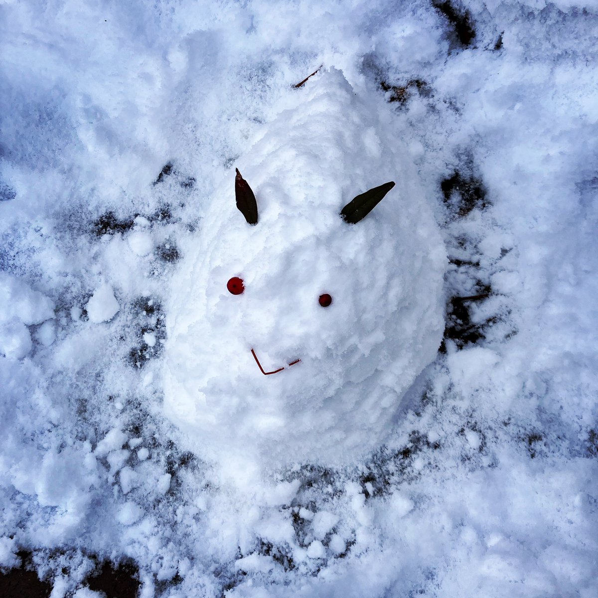 仕事がやすみになって、何年ぶりかの雪遊び

生活環境が大きく変わって以後、創作の余裕がない必死な毎日です。好きな作者さんの本だけはなんとか追いかけて読みたいな