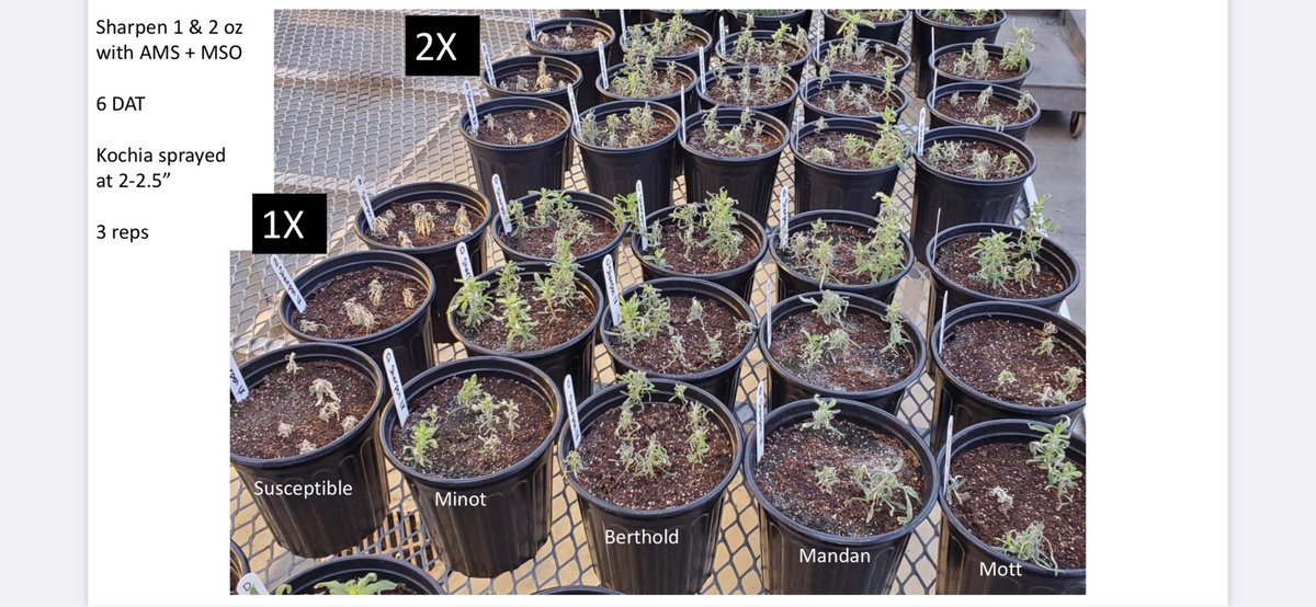 RocknRollAgrnmy's tweet photo. Going to repost Dr. Brian Jenks work to address #CrushKochia 📞 are open. 

https://t.co/WVZJbt5U9M https://t.co/LGFpW8bBsW