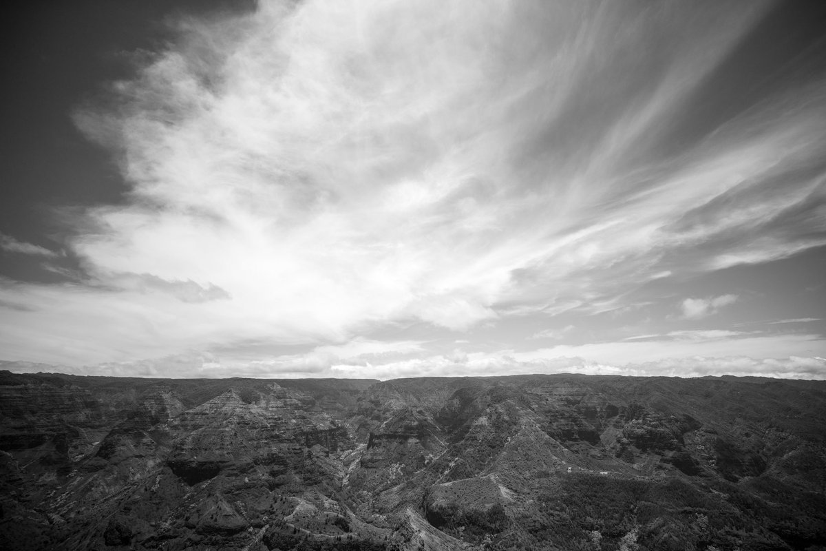 Jared Gray tweet media