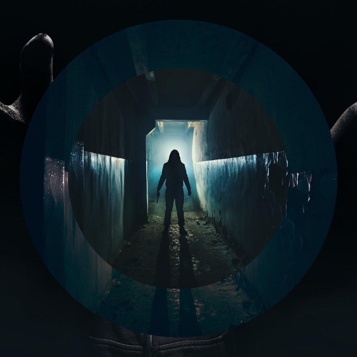 Devil Den Records (@records_den) / Posts / X