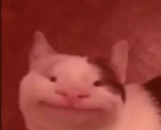 me still trying to get my twitter account unsuspended