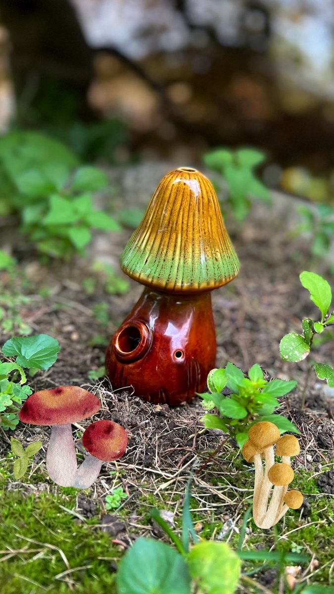 Mushroom for #stoners