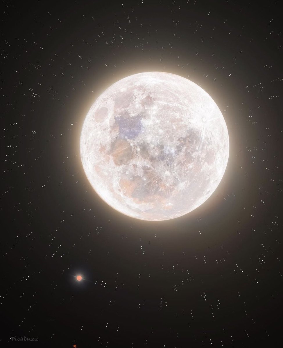 moonloverxjpg's tweet photo. luna llena y marte https://t.co/Q9awpiVuDs