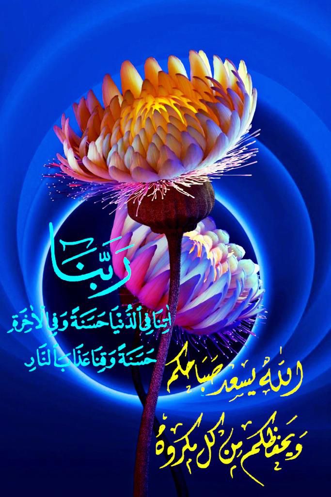 Anas (@abu_malik84) on Twitter photo 