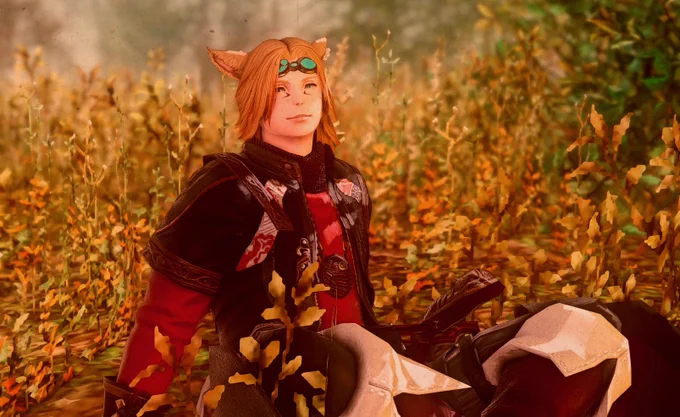 lotsa ffxiv people retweeting.... look at my wol my schmoopie if you will (was definitely not based on shit from ix) 