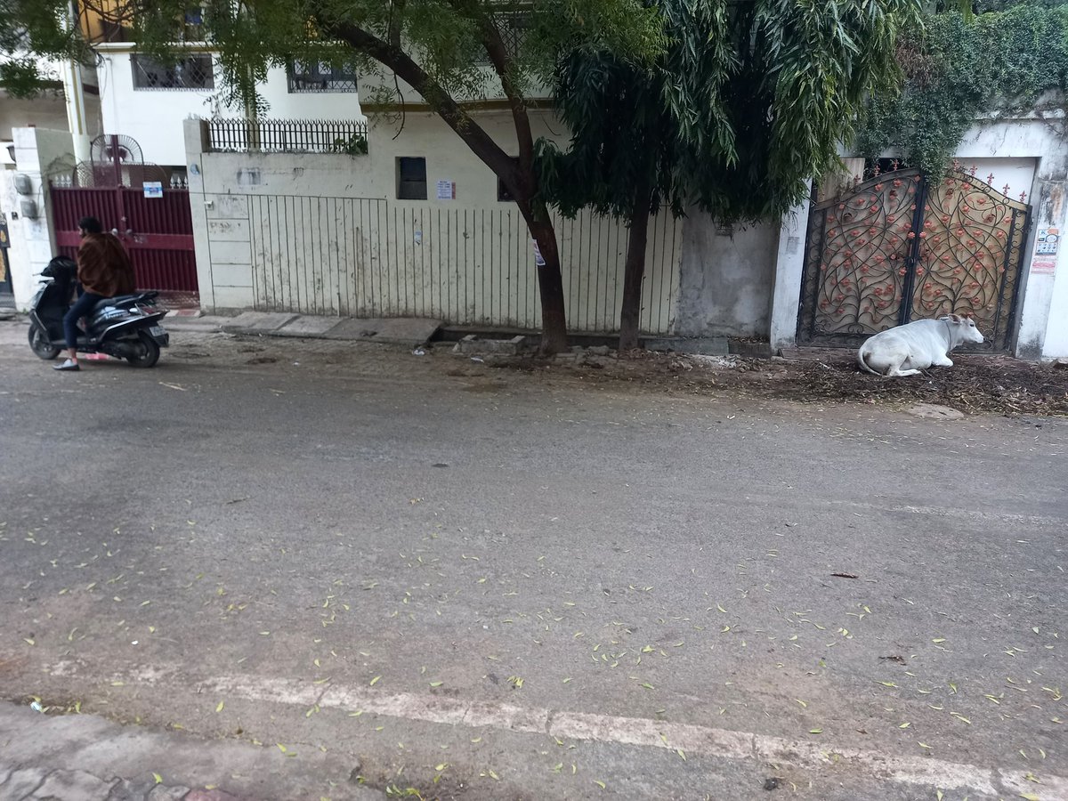 AkhilesPandey1's tweet photo. Kanpur ki Geeta nagar ki galiya,safai abhiyan@Mayor https://t.co/fb8STGkjHx