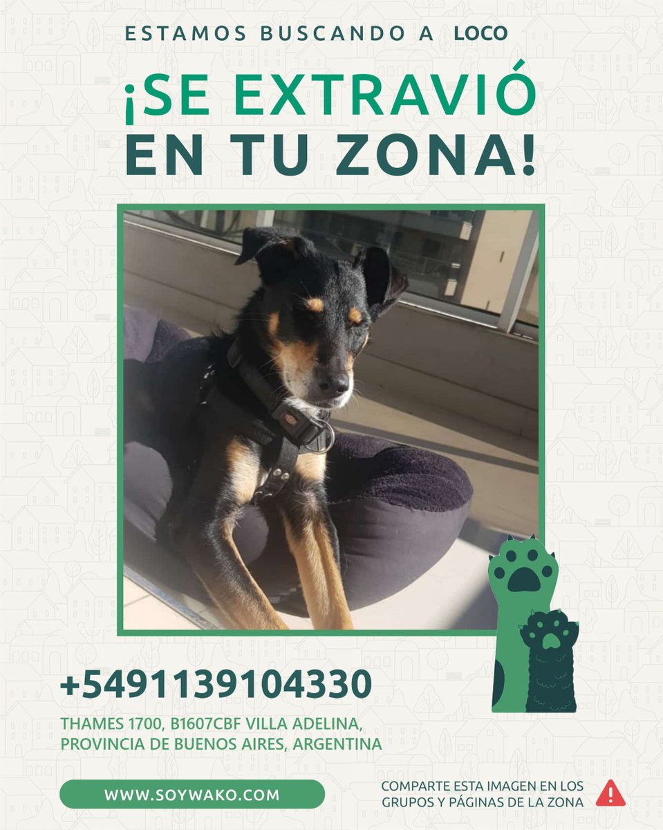 maritotombino's tweet photo. @casciari RT así entre todos lo encontramos. https://t.co/uso6B1PVMS