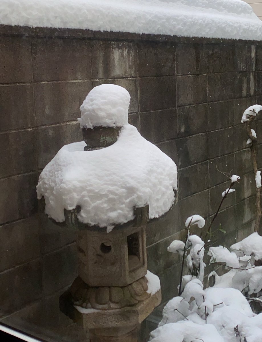 まだ雪降るかぁ

久々に積もったままの市内 