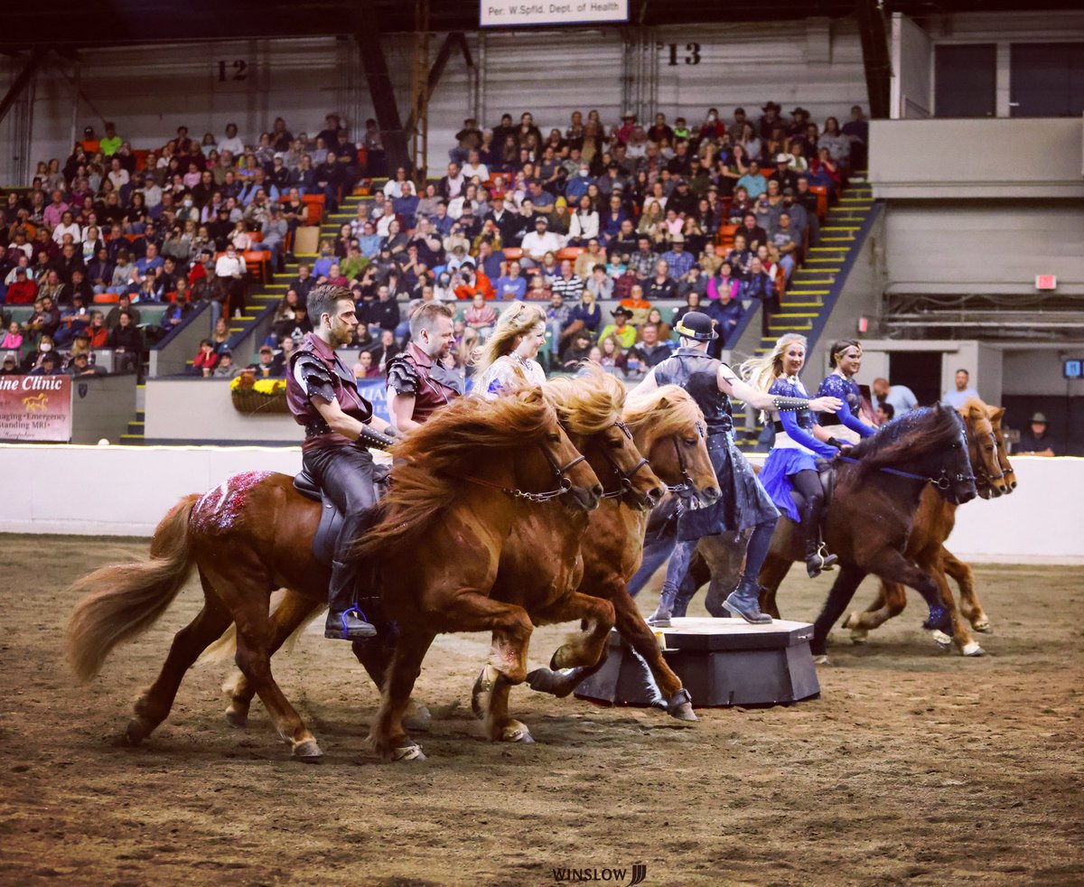 valkyrieiceland's tweet photo. 2023 is here and we’ve got another show in store for you. Stay tuned ⚡️⚡️⚡️⚡️
#knightsoficeland #comingsoon #horsesoficeland #stallions #thor #valkyrie #showtime #circusfreaks #goriding #teamespañasilk #equinemedsurg #equineaffaire https://t.co/2V6CFcGijE