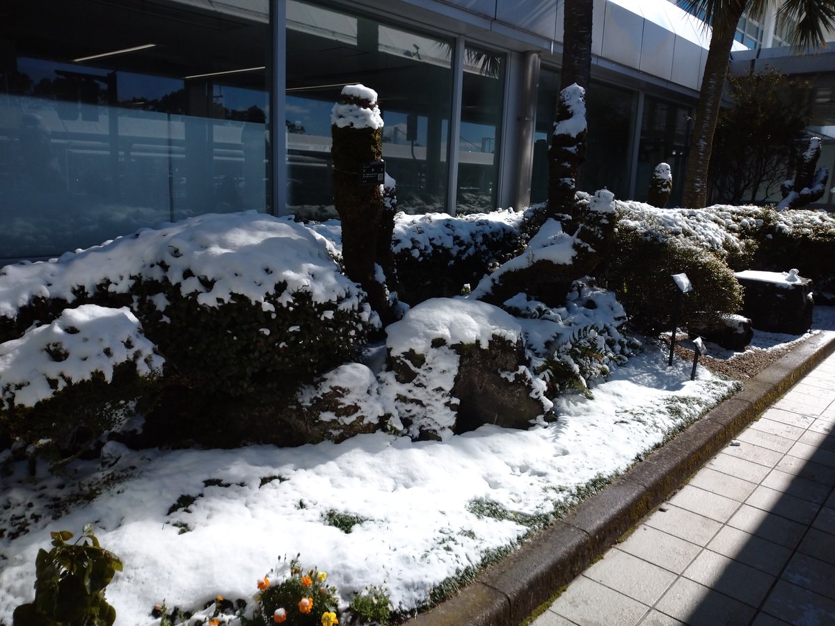 ranger_map's tweet photo. 大寒波
不要不急の外出は避けたいところですが。。。
とある病院への出張。
大雪の為、交通機関は乱れ、スリップ事故多発。

どんな天候でも病院は働き続ける。
職員は病院を守り続ける。
病院に休まる時間はないですね。 https://t.co/l6zHgp1ox4