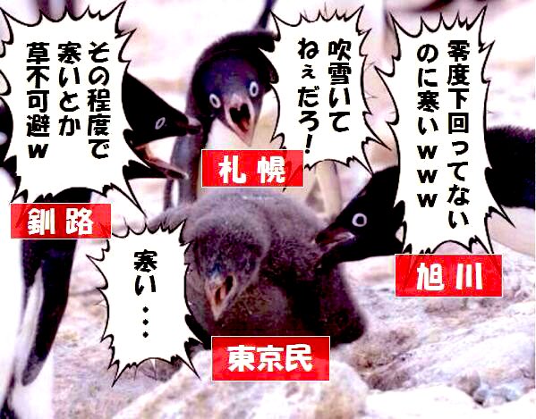 今日は全国的に寒い時にTLに出現する
「キタカラメセンペンギン」
…をあまり見かけない🐧

▼画像:ネットより(出典不明) 
