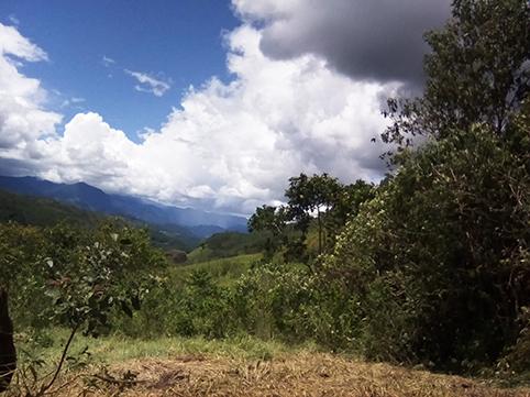otoniel_ely's tweet photo. Venta de terreno en pueblo viejo,
 9 manzana  tamanique la libertad 
Ideal para ganado, agricultura, etc
Celular +50361807492
Precio: $90.000 accepted here bitcoin, and efectivo 
Escrituras excelentes https://t.co/3rppOszqxF