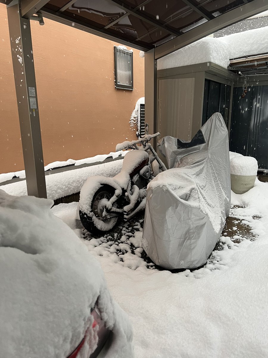 inc_hyo's tweet photo. 諦めも肝心
#バイクカバー買ってください https://t.co/rfXZ9llNNv