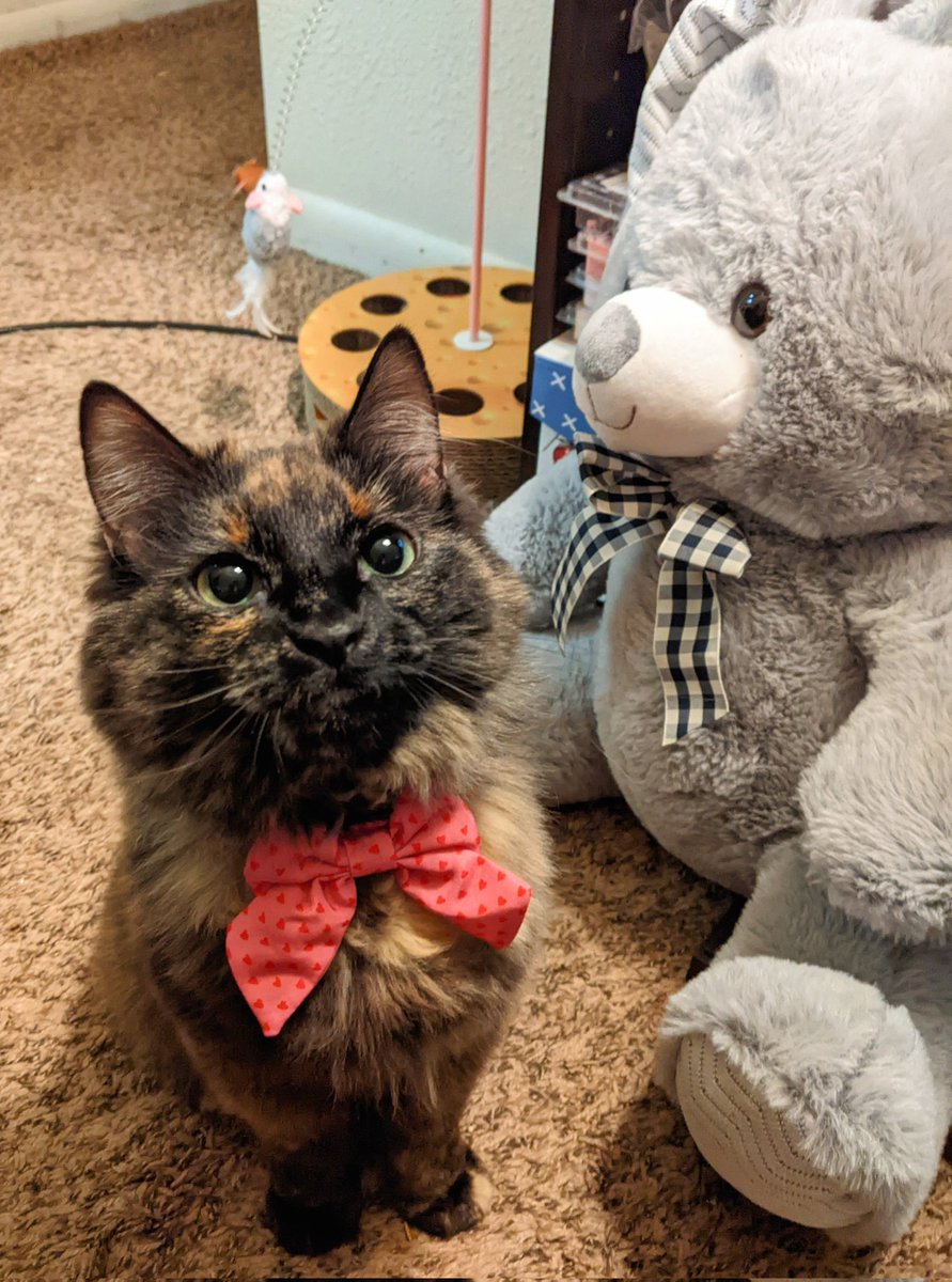 She wants to know if you'll be her valentine