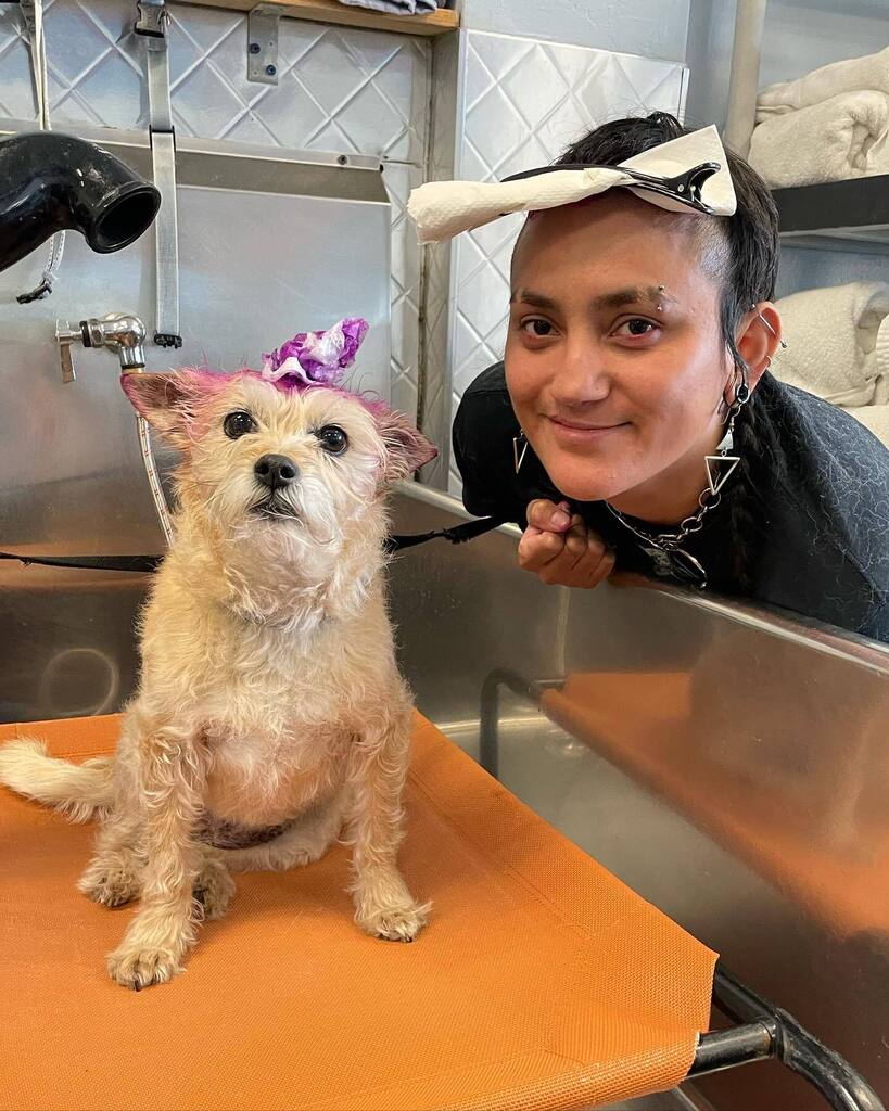 On Tuesdays we wear pink! Love you Laura Palmer (the terrier, not the Lu)💋💕💅🏽 #dogsofadamsave #puppiesinthetub #dirtymuttsdrivemenuts