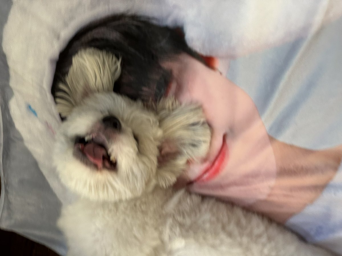 sunwonfate's tweet photo. i think my dog likes sunoo https://t.co/gW3eejcIjg