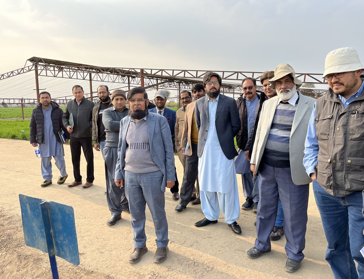 Alison Bentley tweet media