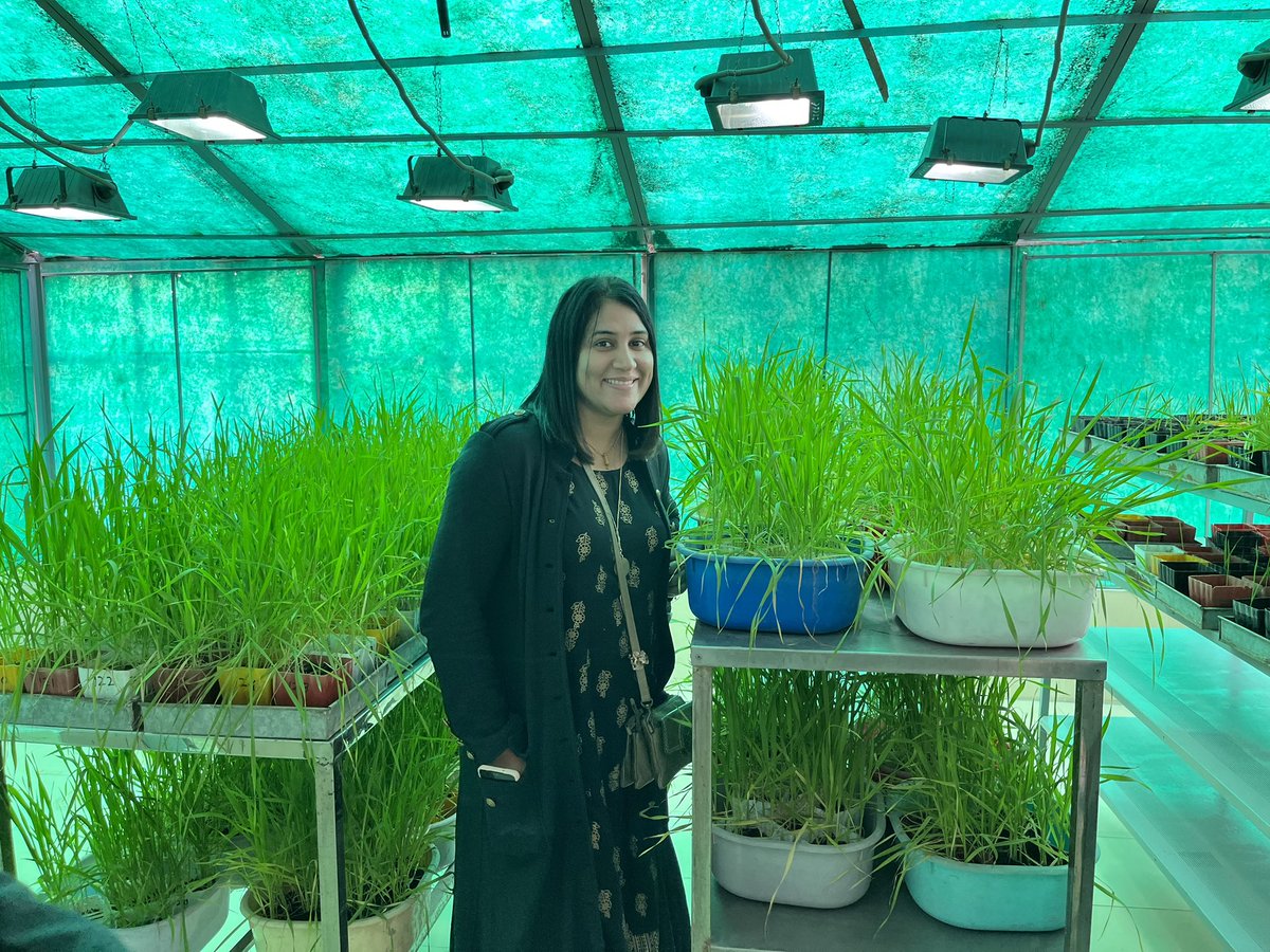 Alison Bentley tweet media