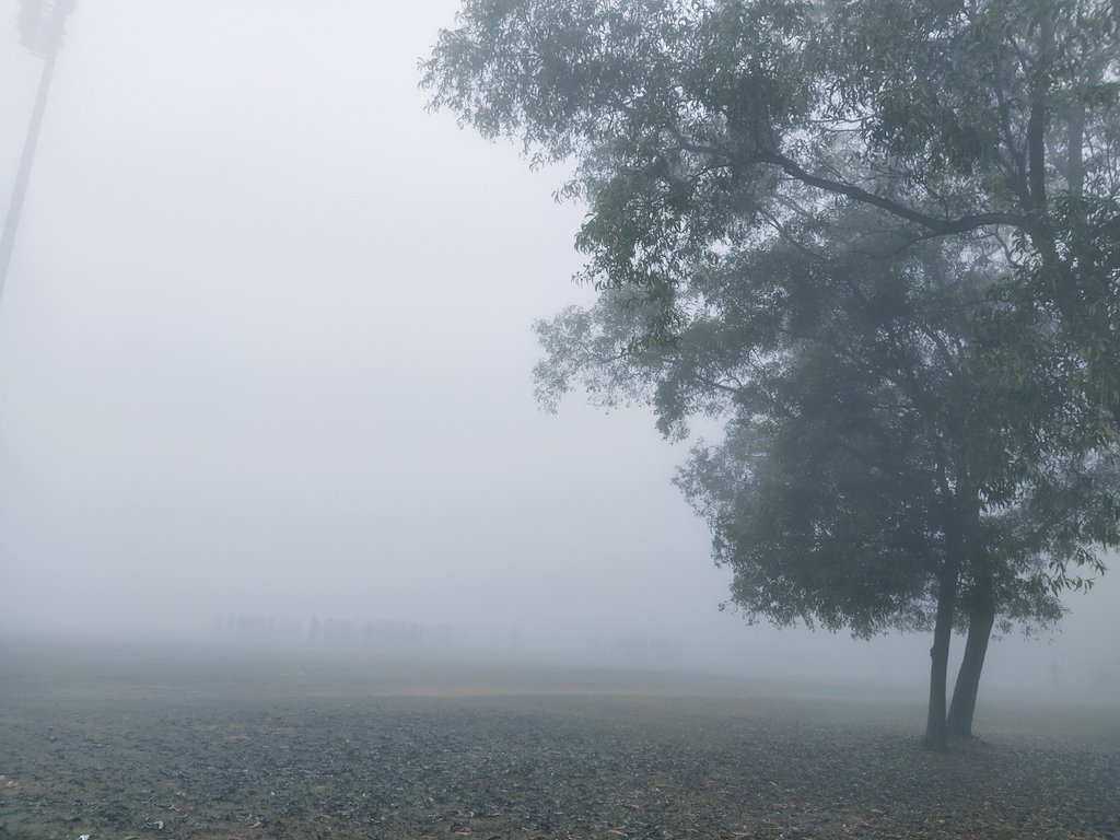 arnabduttachem's tweet photo. In misty cold morning... @IITKgp https://t.co/0J3P8t2GKR