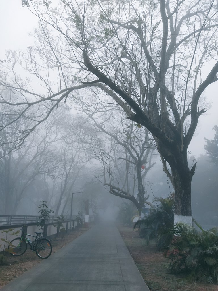 arnabduttachem's tweet photo. In misty cold morning... @IITKgp https://t.co/0J3P8t2GKR