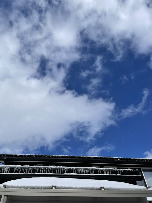 Twitterのコスプレ画像4