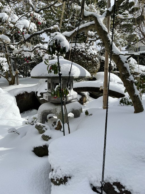 Twitterのコスプレ画像5