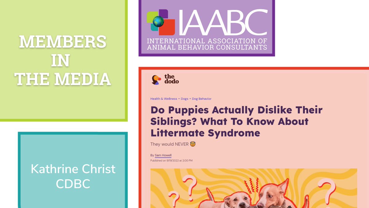 Int’l Association of Animal Behavior Consultants tweet media
