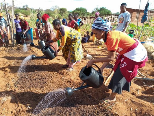 JNjeri254's tweet photo. Lets recognize and support the vital role of women in agriculture in arid lands. 
Their contribution to food security is undeniable. Empowering women is key to achieving a sustainable food system. 
#WomenEmpowerment
#WomenInBusiness https://t.co/fI6tamUBRi