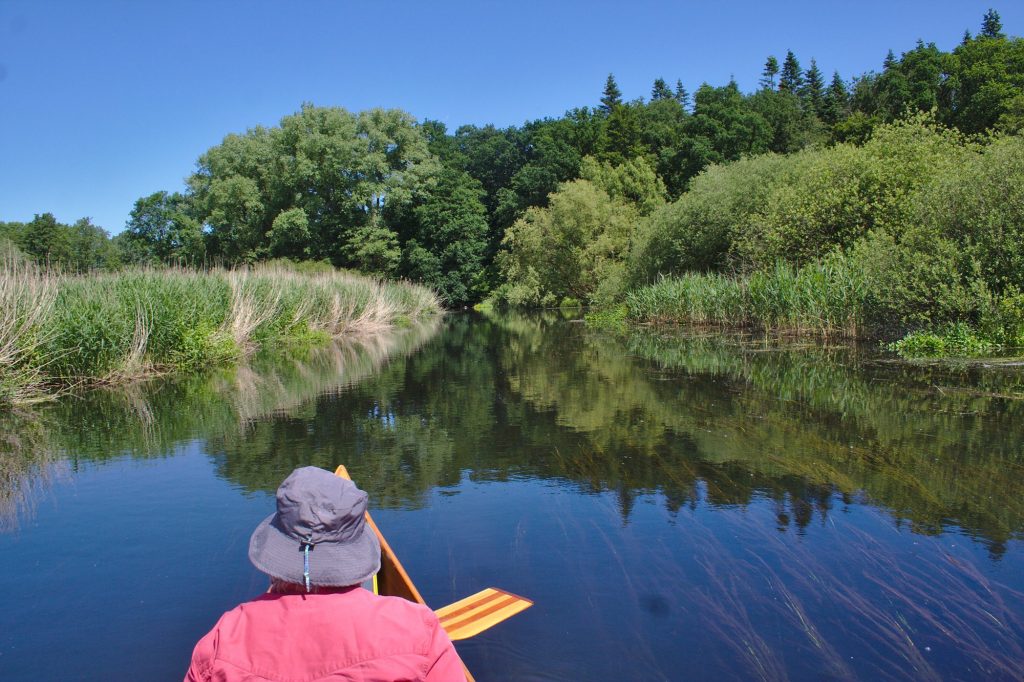 heybeachvilla's tweet photo. Ein Kanu ist ein Boot, dass mit Paddeln in Blickrichtung bewegt wird. Es wird auch Paddelboot genannt. Kanu ist also der Oberbegriff für #Paddelboote. Es werden zwei Arten unterschieden - die #Kajaks und die #Kanus. Hier geht's zu weiteren Details https://t.co/LAbNRakyu0 https://t.co/MNfQUkq3wV