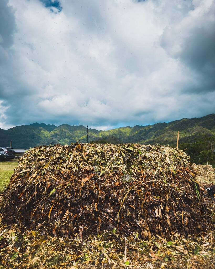 farmeraugusto's tweet photo. And just like that, the first compost pile is close from receiving anymore leftover food because it has almost 1000 lbs of recovered resource since the beginning of the month. And in about 9 months to a year, this pile will be ready to harvest. I hope to… https://t.co/mmC3Oh1zKX https://t.co/1Wcrpck0Fk