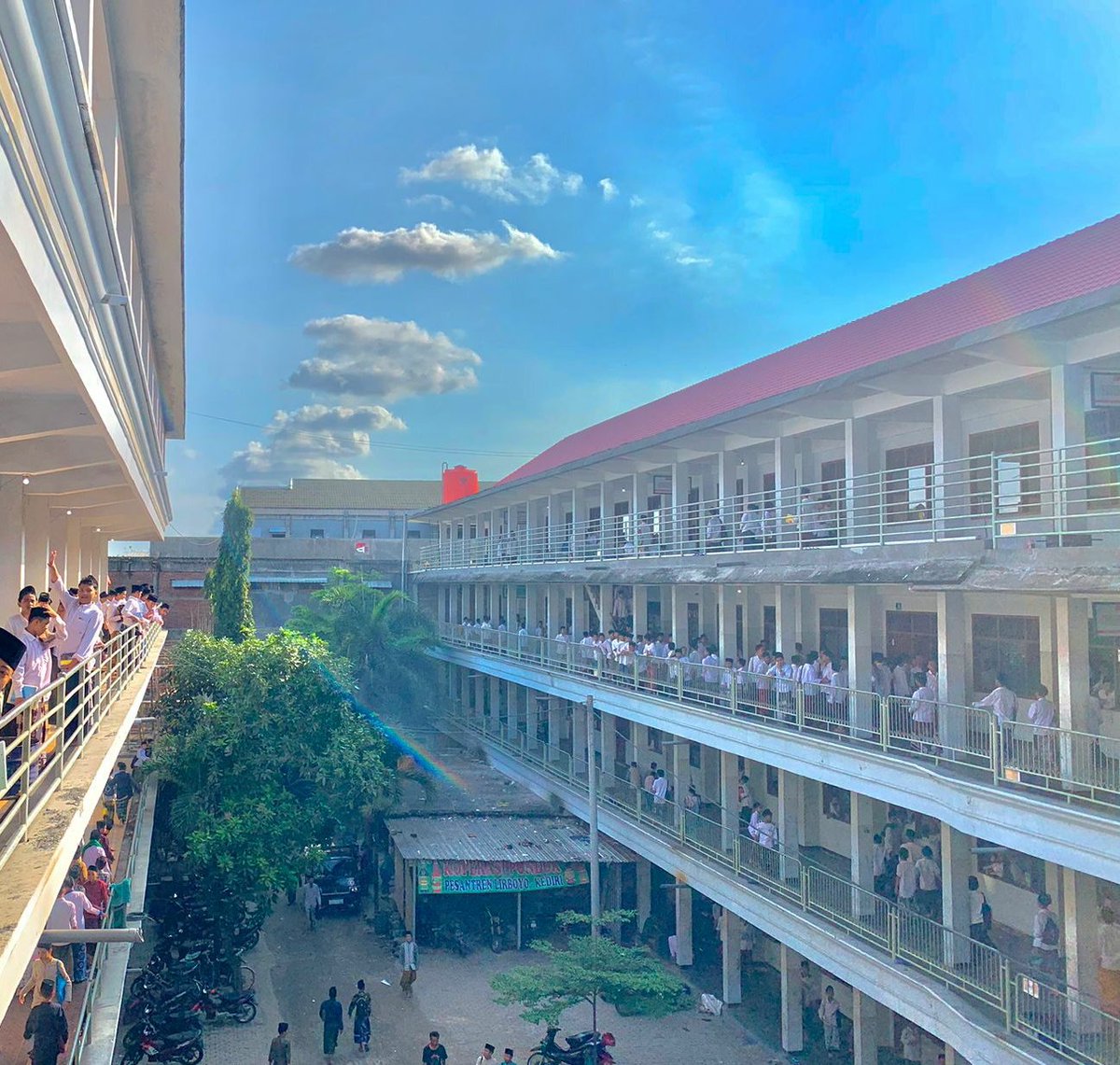 • cin • tweet media