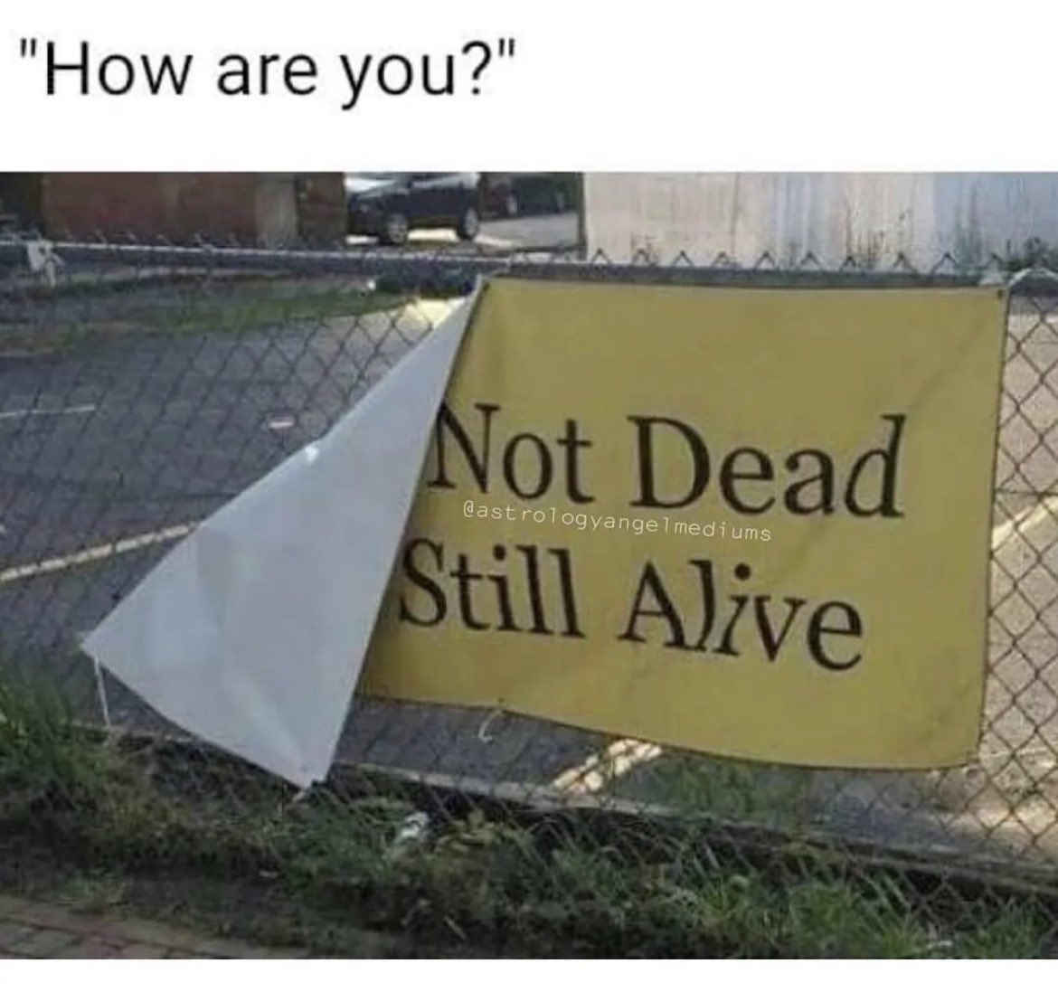 forcryingoutloud_🇦🇺 (@4cryingoutloudx) on Twitter photo 