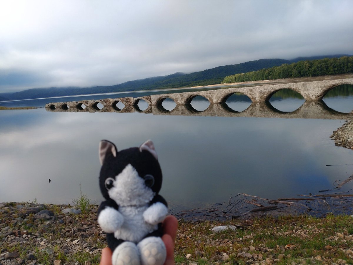 jasper_mint's tweet photo. 旅する猫のぬいぐるみ…の中の人
いろんなことを呟きますが基本ユルく生きています https://t.co/4xL4D1cZvy