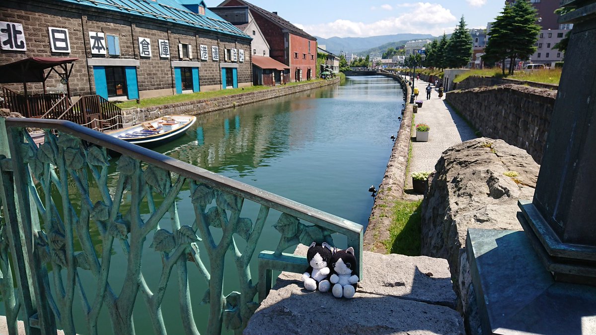 jasper_mint's tweet photo. 旅する猫のぬいぐるみ…の中の人
いろんなことを呟きますが基本ユルく生きています https://t.co/4xL4D1cZvy