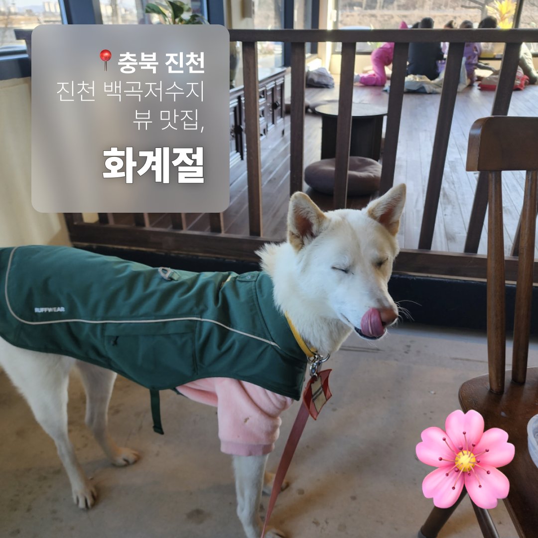 #진플_진천 #진천카페 #진천반려견동반카페

instagram.com/p/Cn0tlDcLLlw/…

💙 진도프렌들리 인스타그램에서 확인해보세요 ;-)