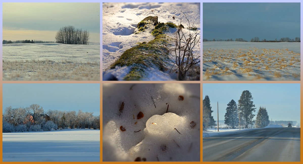 urbanehillbilly's tweet photo. #SixOnSaturday Well, I'm on January, at least..lol views from the 1st week of the month, seasonally mild/average- a few degrees below freezing daytime, around -20C night. #Frosty days from #fog, #RoadViews and details from the #woods on the #farm #nature #CountryLiving #Alberta https://t.co/a4NUXjmv9U