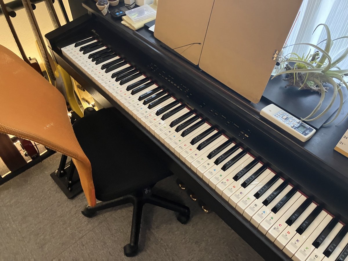 西東京市で歌を始めるならfeelピアノ教室。西東京市田無 feelピアノ教室は西東京市西武新宿線田無駅より徒歩5分。
f-piano.jp

#音楽 ​#歌​​​ #ヴォーカル #ギター​​​ #ベース #ドラム​​​ #ピアノ #DTM​​​ #ウクレレ #カメラ #バンドサークル #西東京市 ​#田無