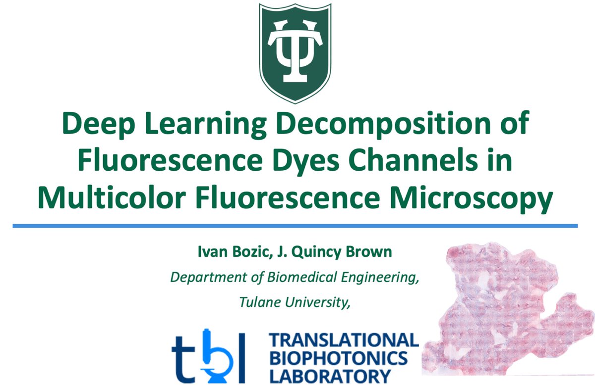 I will present my work regarding fluorescent channel decomposition using deep learning at SPIE Photonics West 2023 this Saturday, January 28th, at 2:40 PST, Room 304 (Moscone Level 3 South) @PhotonicsWest @TulaneBME @VU_Biophotonics