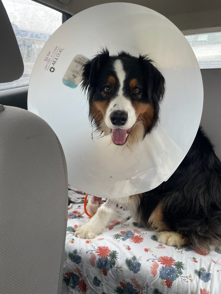 Darrell_Ross tweet media