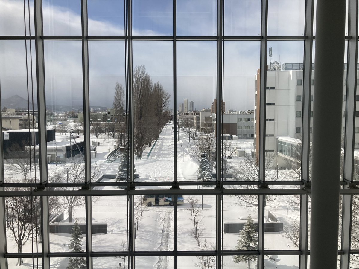 nihongosei's tweet photo. 札幌で大雪と吹雪の注意報が発生されてるんだけど、今は晴れ..☀️
しかし,最高気温はー9℃です。🥶😰 https://t.co/gIezTeEA68