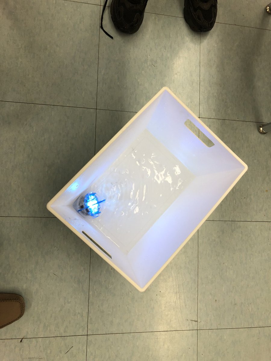 Lisa Jeffries tweet media