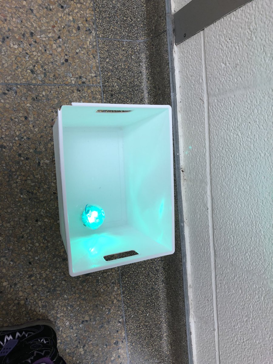 Lisa Jeffries tweet media