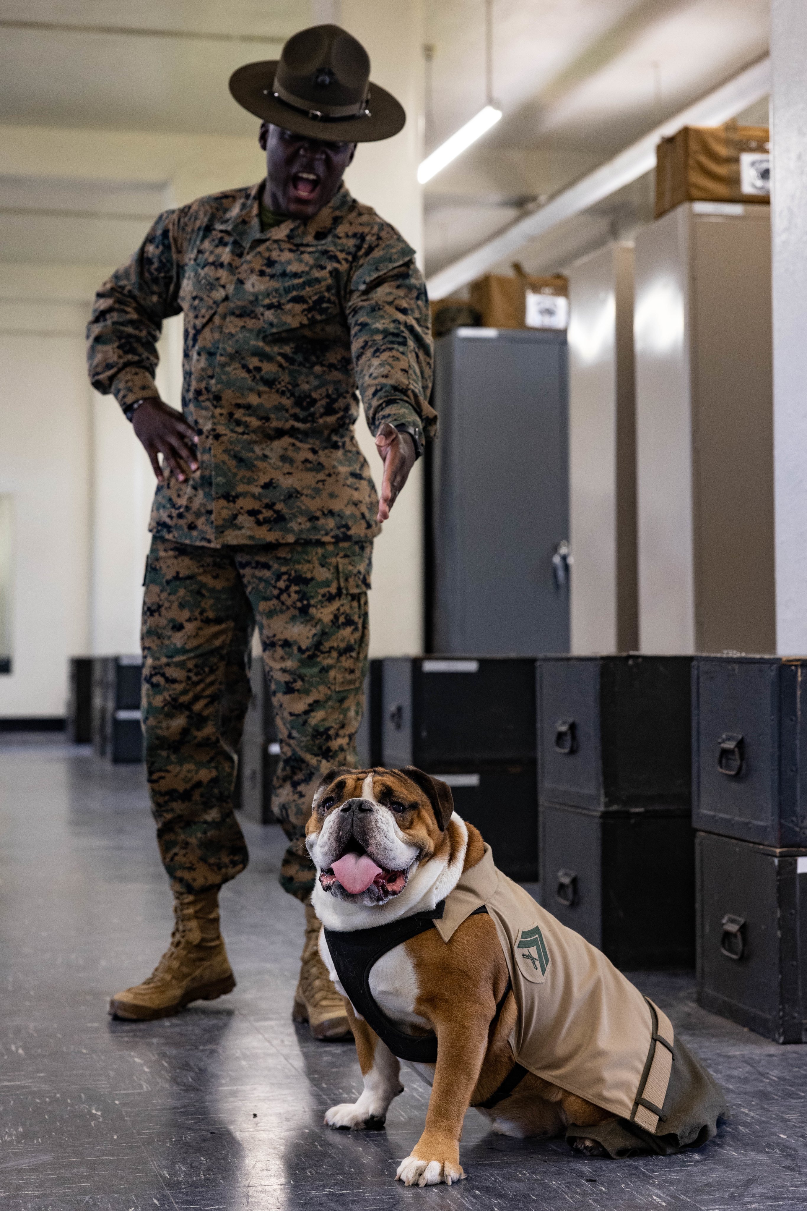 USMC ☆ 海兵隊ドリルインストラクター