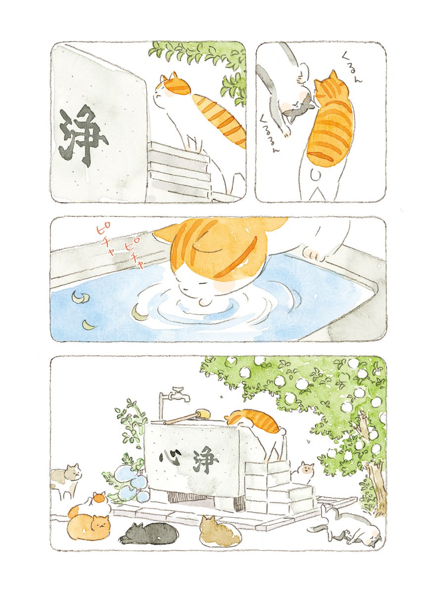 ねことじいちゃん⑨3月16日発売決定です。
予約受け付け中～🐾

https://t.co/GPKuEW1NAg 