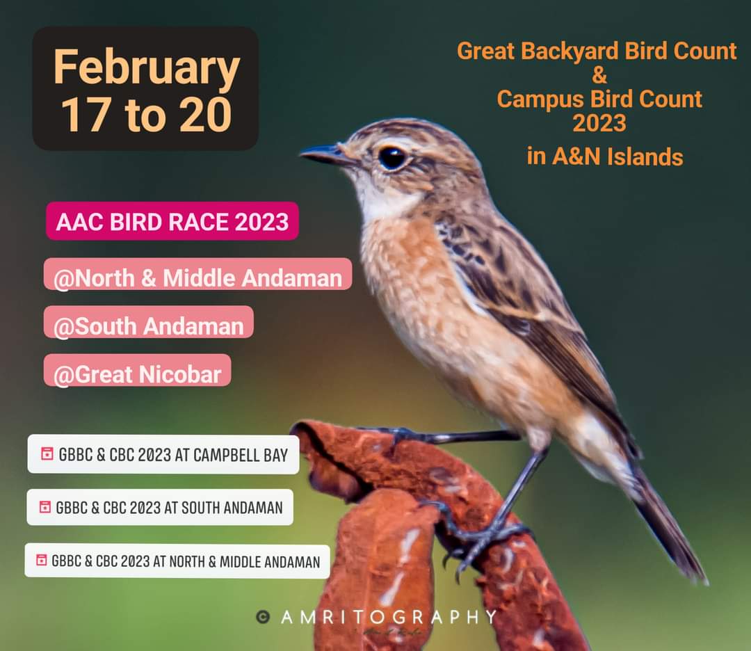 T1027
GBBC & CBC were international events

With this year again @AACAndaman is conducting for the 2nd time, it's own type & first of its kind in these islands #AACBIRDRACE2023

COME JOIN & BE A PART OF THIS MEGA EVENT
#amritography
#andamanaviansclub
@IndiAves #IndiAves